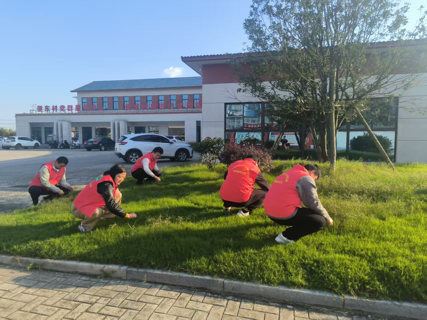 便东村开展“参与环境整治，共创美丽家园”主题党日活动