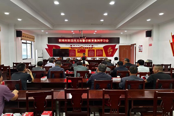 街南村街西党支部警示教育案例学习