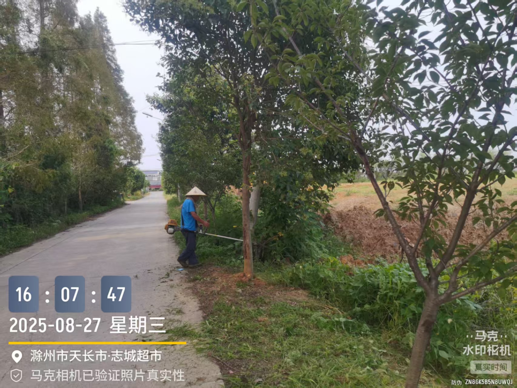 芦柴村开展环境卫生整治