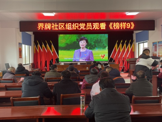 汲取榜样力量 砥砺奋进前行——界牌社区组织党员观看《榜样9》