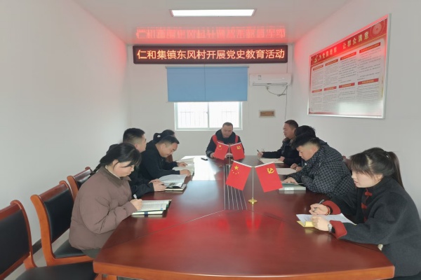 东风村开展党史学习教育