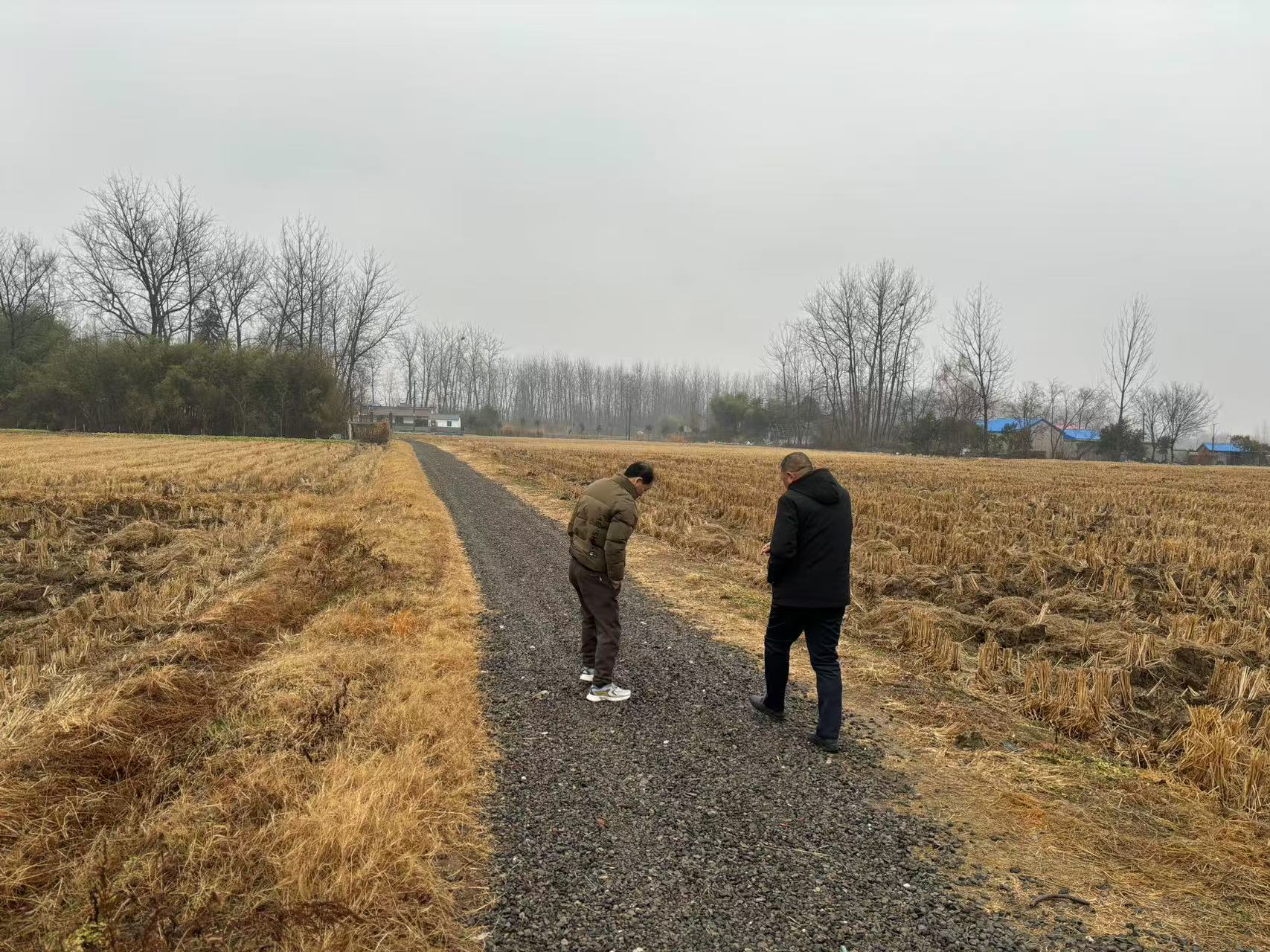 乡间道路再升级，幸福通万家