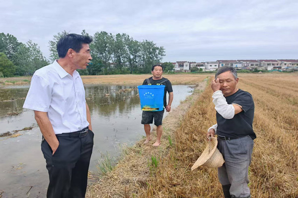 陈庄村成功调解午季水稻灌溉矛盾纠纷