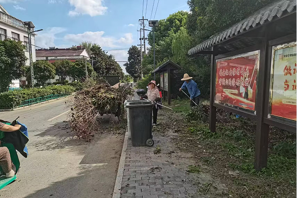 “清爽行动”— 桑园村环境整治进行时