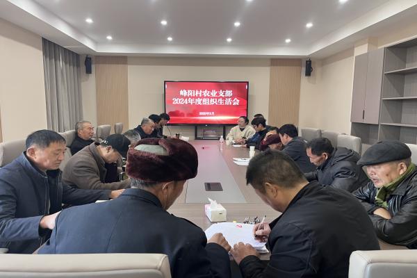 峰阳村召开2024年度组织生活会