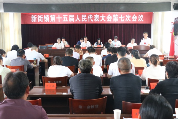 新街镇第十五届人民代表大会第七次会议胜利闭幕
