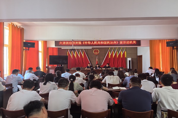 大通镇：多措并举开展《中华人民共和国民法典》宣传系列活动