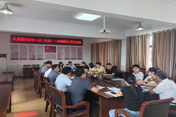 大通镇：召开一村（社区）一法律顾问工作交流会，共绘基层法治新图景