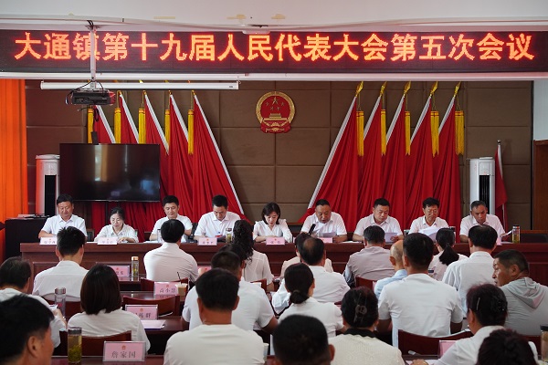 大通镇第十九届人代会第五次会议胜利召开