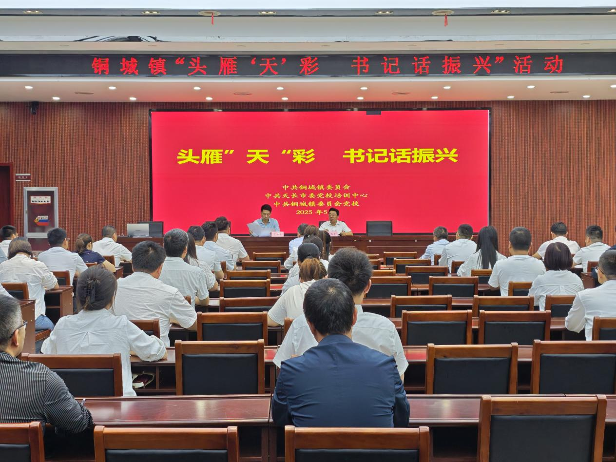 天长市铜城镇：“四雁工程”构筑乡村振兴人才矩阵