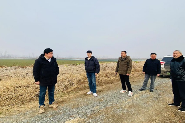 杨村镇金埠村：实地核查道路问题，力促乡村交通改善