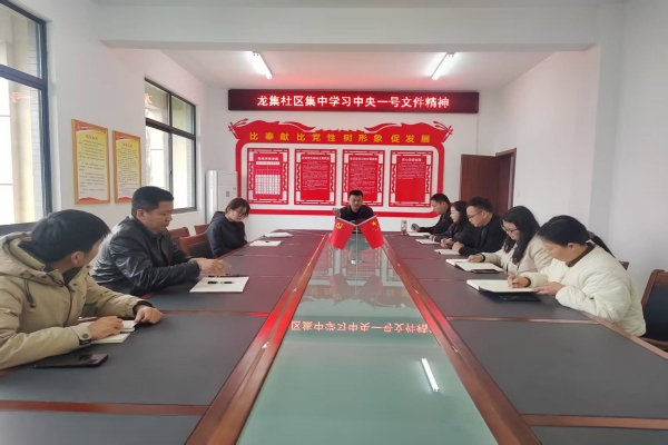 龙集社区集中学习中央一号文件精神