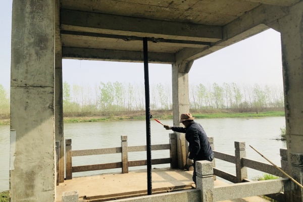 杨村镇金埠村：筑牢水利防线 守护民生安澜