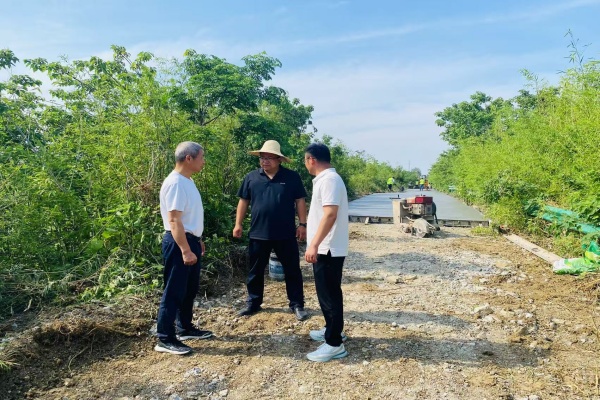 杨村镇金埠村：深入一线督导检查，全力推进村级道路硬化工程提质增效