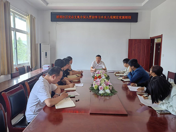 桥湾社区党总支召开深入贯彻中央八项规定精神学习教育专题集中学习会