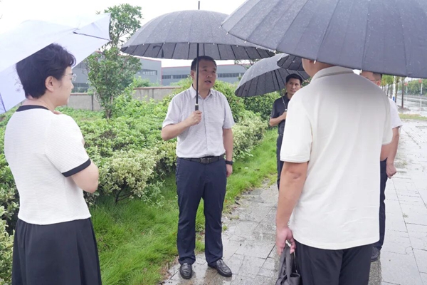 张秀山调研督导铜龙河龙岗国控断面水环境问题整治工作