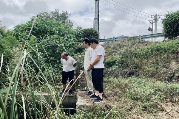 杨村镇金埠村：市淮防所技术人员下村解难题